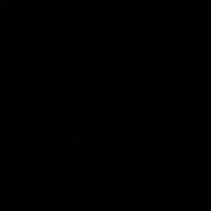 Meet your Posher, Michaela